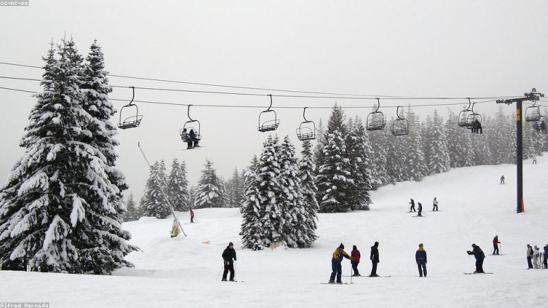 Snowboard